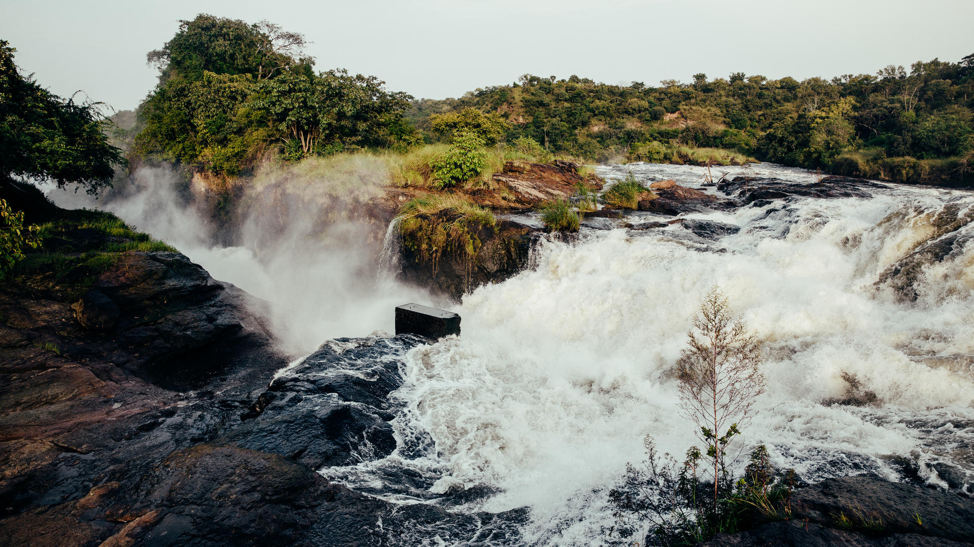 7 - Days exploration of Kidepo valley and Murchison falls national park