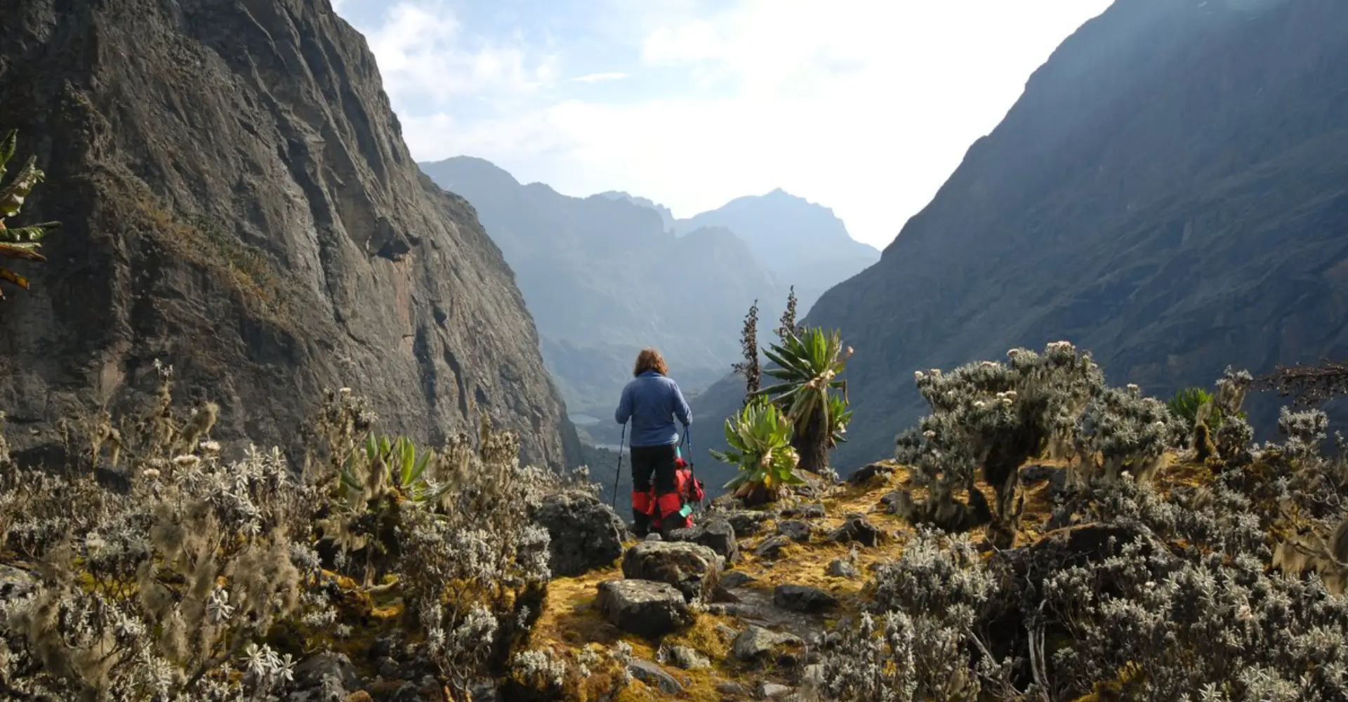 16 - Days Rwenzori hiking, gorillas & wildlife safari (Mid-range)