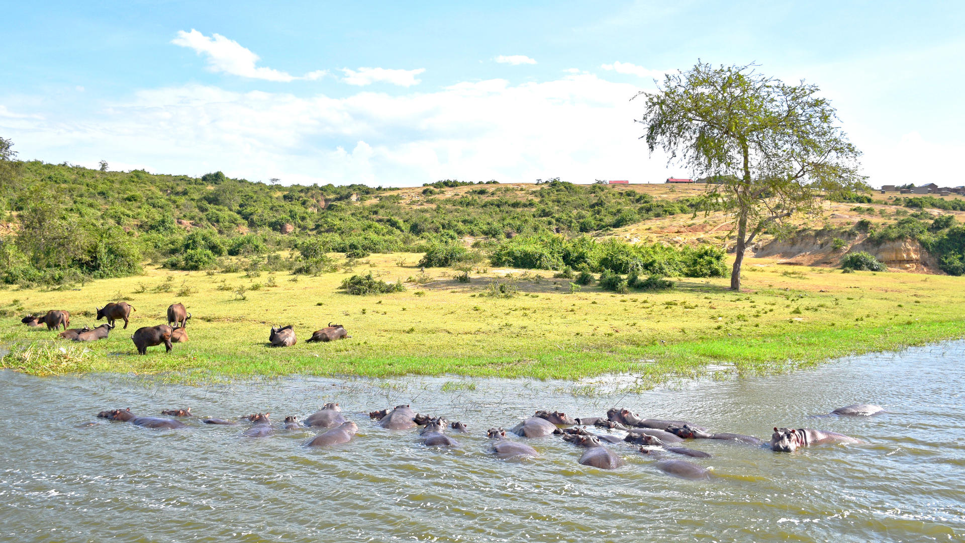 16 - Days Uganda highlights including Kidepo